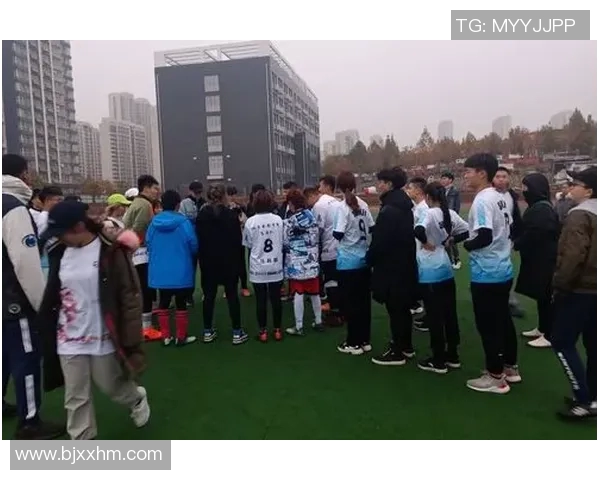 成都飞盘队运营策略深度分析与成功经验分享